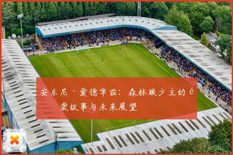 安东尼·爱德华兹：森林狼少主的逆袭故事与未来展望