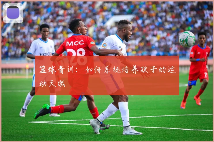 篮球青训：如何系统培养孩子的运动天赋